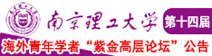 日肥婆网站南京理工大学第十四届海外青年学者紫金论坛诚邀海内外英才！